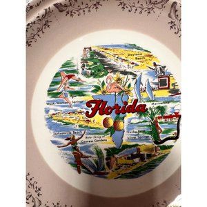 Florida Souvenir Collectable State Plate Gold Border